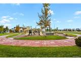 4684 Crestone Peak St - Photo 46