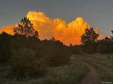 525 Brush Hollow Rd - Photo 14