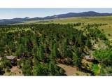 525 Brush Hollow Rd - Photo 3
