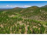 525 Brush Hollow Rd - Photo 7