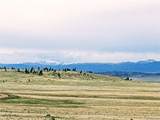 0 Downey Rd - Photo 10