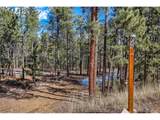 249 Territory Dr - Photo 13