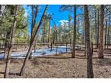 249 Territory Dr - Photo 5