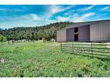 33822 Fishers Peak Pkwy - Photo 18