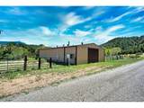 33822 Fishers Peak Pkwy - Photo 19