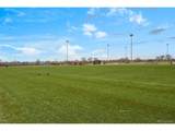 6785 119th Ave - Photo 47
