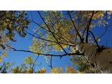 9798 Ranch Rd - Photo 22