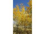 9798 Ranch Rd - Photo 23