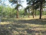 9798 Ranch Rd - Photo 5
