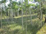 9798 Ranch Rd - Photo 6