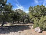 3545 Fallen Tree Pl - Photo 3