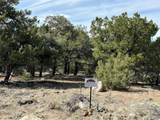 3545 Fallen Tree Pl - Photo 5