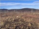 1290 Clayton Rd - Photo 6