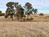 6 County Road 122 - Photo 3