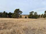 6 County Road 122 - Photo 6