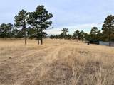 6 County Road 122 - Photo 8