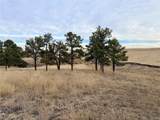 6 County Road 122 - Photo 9