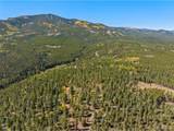 30854 Forest Shadow Trl - Photo 10