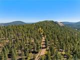 30854 Forest Shadow Trl - Photo 14