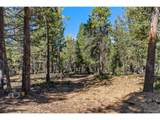 30854 Forest Shadow Trl - Photo 6