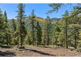 30854 Forest Shadow Trl - Photo 7