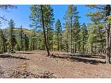 30854 Forest Shadow Trl - Photo 8