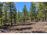 30854 Forest Shadow Trl - Photo 9