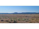 5 East Peak Ranches - Photo 9