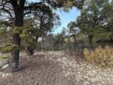 3593 Splendid Way - Photo 3