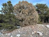 3593 Splendid Way - Photo 4