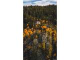 853 Longbow Dr - Photo 12