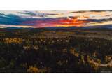 853 Longbow Dr - Photo 4