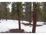  Aspen Turn - Photo 11