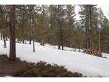  Aspen Turn - Photo 12