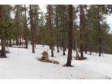  Aspen Turn - Photo 14