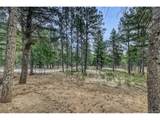  Rock Ridge Rd - Photo 11