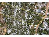  Rock Ridge Rd - Photo 14