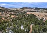  Rock Ridge Rd - Photo 20