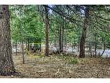  Rock Ridge Rd - Photo 3