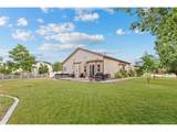 31455 166th Ave - Photo 34