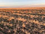 50700 104th Avenue - Photo 2