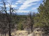 0 Redtail Trail - Photo 11