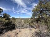0 Redtail Trail - Photo 12
