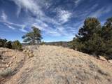 0 Redtail Trail - Photo 15