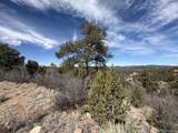 0 Redtail Trail - Photo 17