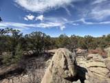0 Redtail Trail - Photo 21