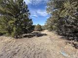 0 Redtail Trail - Photo 22