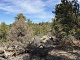 0 Redtail Trail - Photo 25