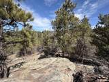 0 Redtail Trail - Photo 27