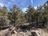 0 Redtail Trail - Photo 28